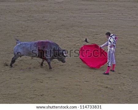 SAN FERNANDO-SEPTEMBER 26: Juan Jose Padilla in action during a corrida de toros or bullfight,Spanish tradition where a torero or bullfighter kills a bull on September 26, 2010 in San Fernando, Spain.
