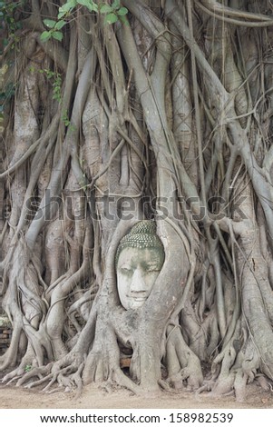 Ayutthaya Heritage City - UNESCO World Heritage Sites in Thailand