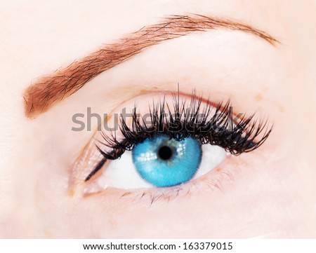 blue eye with bushy lashes and brow close up picture