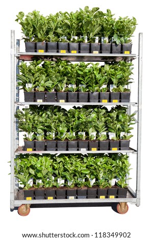 Roll container plants