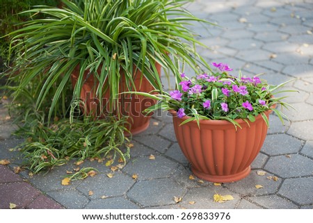 Vase of flowers on the earth