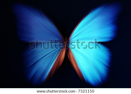 Beautiful butterfly blue abstract with zoom effect - morpho