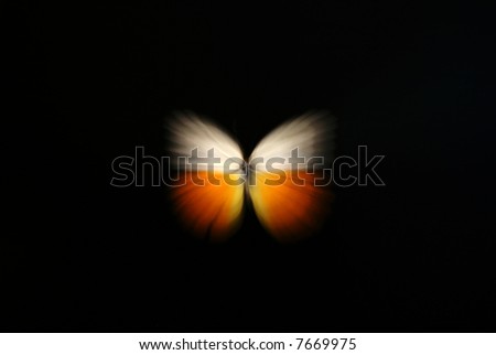 Abstract of a butterfly with zoom effect