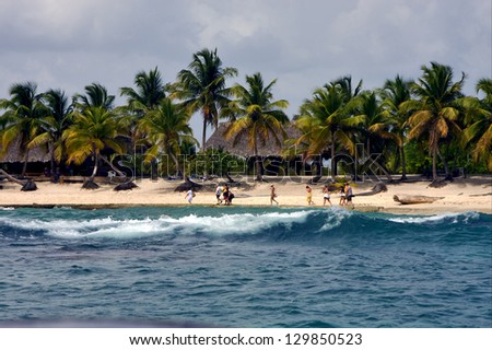 ocean coastline  cabin  house palm and tree in  republica dominicana