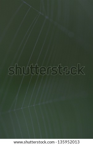 abstract white web background in the green