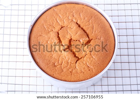 baked chiffon cake in a round baking tin