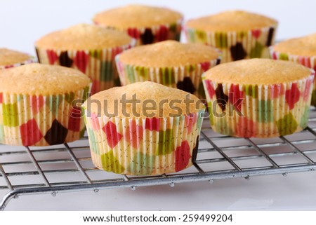 Fresh baked cupcakes without decoration before making frosting on white background