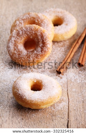 Sweet pieces of sugar doughnuts with cinnamon