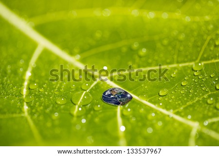Recovery earth concept Elements of this image furnished by NASA  /              Waterdrop on a leaf reflecting earth concept for environmental conservation   \