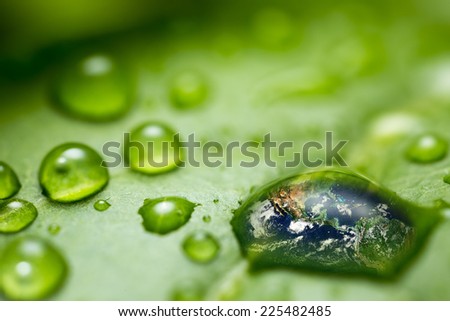 leaf with rain droplet  - Recovery  earth concept  /  rain droplet on a leaf reflecting earth concept for environmental conservation   \