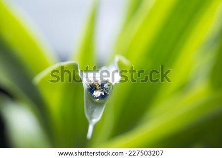 leaf with rain droplet  - Recovery  earth concept  /  rain droplet on a leaf reflecting earth concept for environmental conservation   