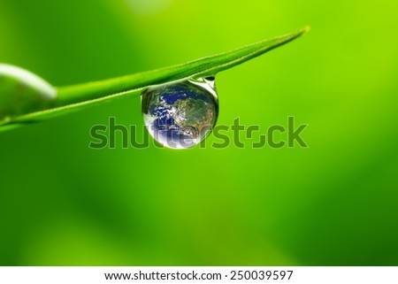 leaf with rain droplets - Recovery earth concept  /  \