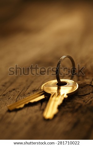 A closeup shot of an old set skeleton keys laying on old wood table, shot with very shallow depth of field