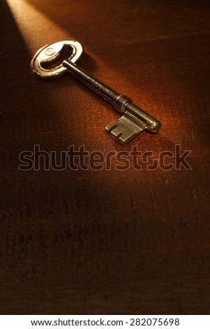 Key to success. Shot with a warm tungsten light streaming across image.