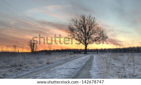 A tree stands by the end of a road with a colorful sky produced by the sunrise in the background.