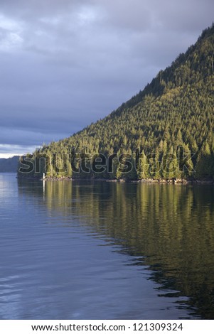 Forest reflecting into the channel, Queen Charlotte Strait, British Columbia, Canada