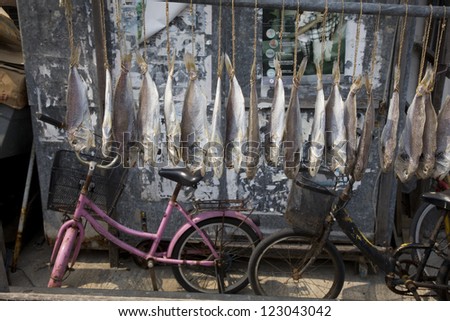 Fish hanging up to dry at the Tai O Fishing Village, Lantau Island, China.