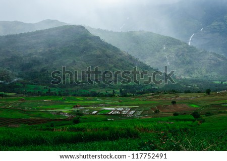 Summer in in the highlands.Tea and Sugar cane plantation in a mountain valley, Cultivation fresh green organic leaves