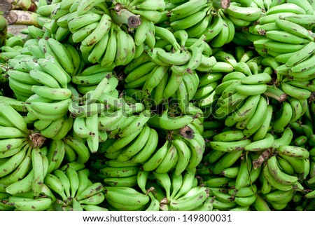 Bunch of bananas in a vegetable and fruit market. heap of banana. Robusta