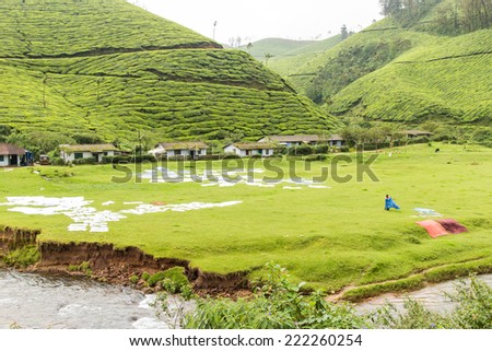 Green mountains with tea plantation. Wet clothes drying near mountain Munnar Kerala India. tea estate.wet laundry