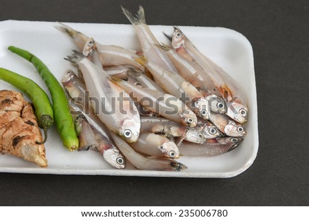 Raw Anchovy fish ready to cook with ginger onions and green chili. silver fish Kerala India.