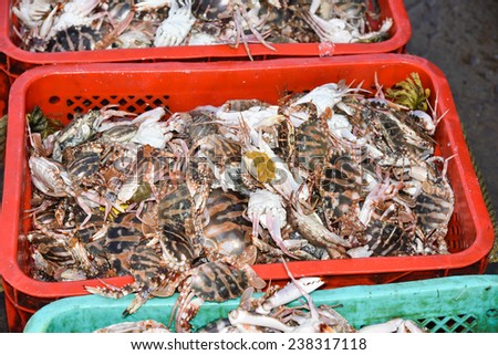 Sea food. Fish market in India. crab for sale