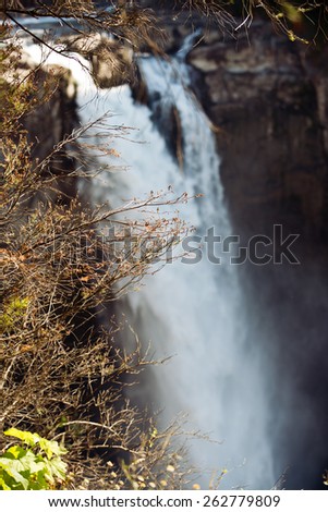 Waterfall Landscape Scene/ Snoqualmie Falls Sage/ Misty Waterfall