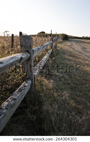Lonely Fence Posts