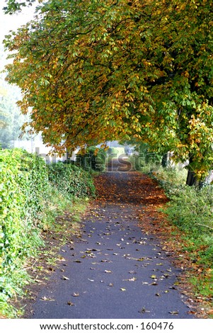 Deserted path in early Autumn