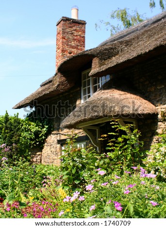 Thornton Dale cottage garden. Focused on flower foreground.