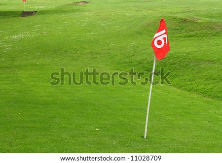 Flag in hole of golf putting green