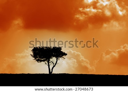 Silhouette of single tree with red color overlay simulating sunset.