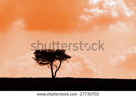 Silhouetted tree against cloudy sky with red lighting effect