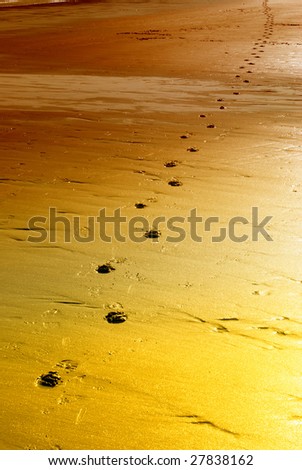 Foot prints on deserted beach with color overlay