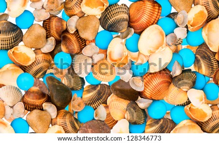Background colored seashells, blue stones and large brown stones