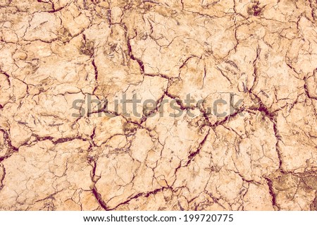 background dry soil with cracks and dried paw prints