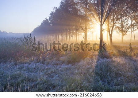 Beautiful sunrise with frost