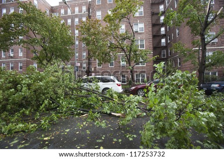 NEW YORK - OCT 30: Fallen tree on a car on the street in Queens borough after hurricane Sandy hit on October 30, 2012 in New York City, NY