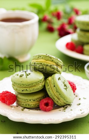French cake with tea makarons match and tarragon. selective focus.