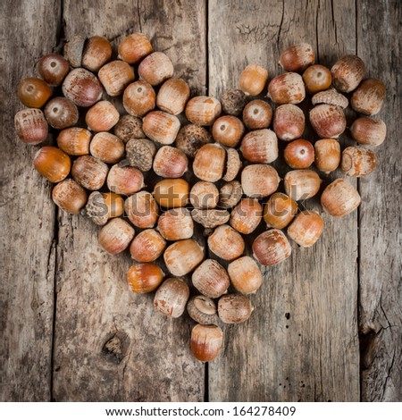 [Obrazek: stock-photo-chestnuts-and-acorns-forming...278409.jpg]