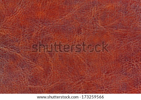 Brown paint leather background or texture