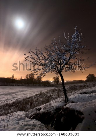 Winter moon night with moving clouds and tree with snow
