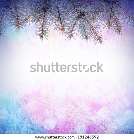 Colorful Christmas background with fir branch frame