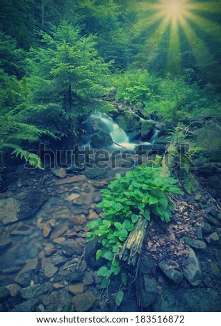 Vintage picture. Carpathian mountain forest stream
