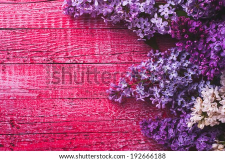 Various lilac on pink wooden background