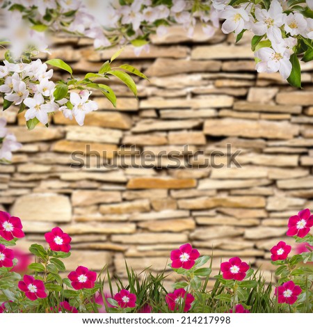 Nature composition. Apple flowers with red summer flowers in a grass on a stone background