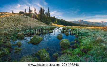 Panorama of Carpathian mountain valley in light of rising sun, what shining through the trees.