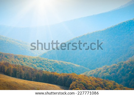 Beautiful red forest on a hills of foggy mountain valley
