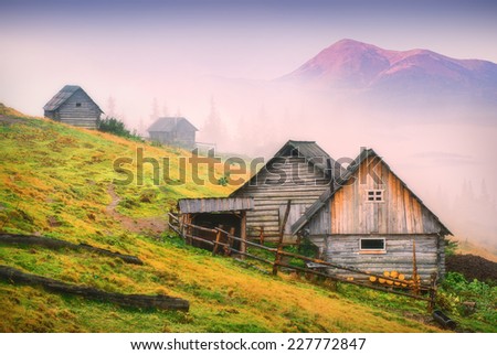 Nature wooden houses in a Carpathian mountains with highest mountain of Ukraine, Goverla. Early misty morning, beginning of new day.