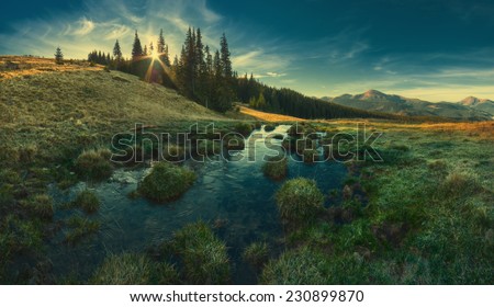 Panorama of Carpathian mountain valley in light of rising sun, what shining through the trees. Vintage colors